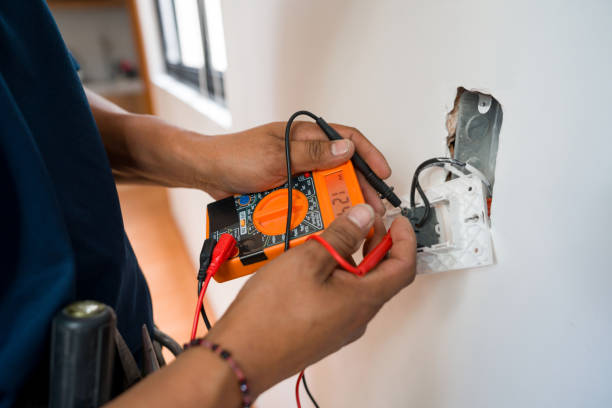 Best Electrical Repair Services  in Fruitvale, CO
