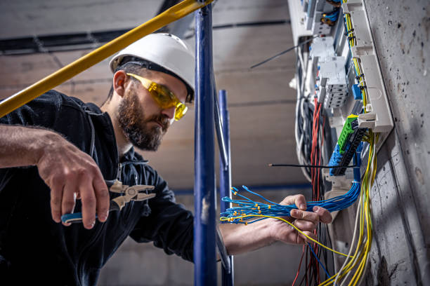 Best Licensed Electrician  in Fruitvale, CO